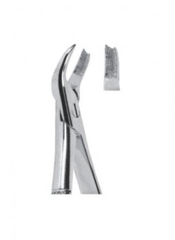 Extracting Forceps